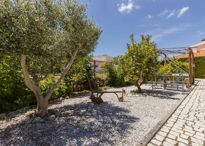 House Dinavast * São João da Pesqueira