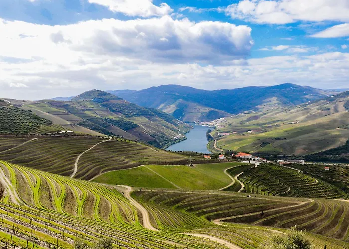 House Dinavast São João da Pesqueira