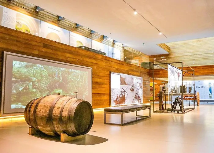 House Dinavast * São João da Pesqueira